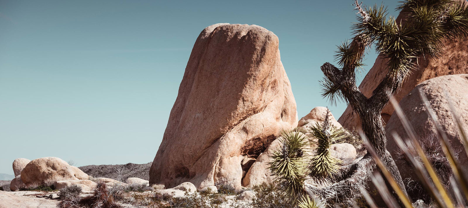 To mark this renewed sense of creative freedom, we’ve launched WHAT WE DO IS SECRET®. Under this banner, we enjoy complete autonomy, unveiling exclusive US packaging and dreaming up new scents in our lab—just as we always have. A Lab On Fire Perfumes