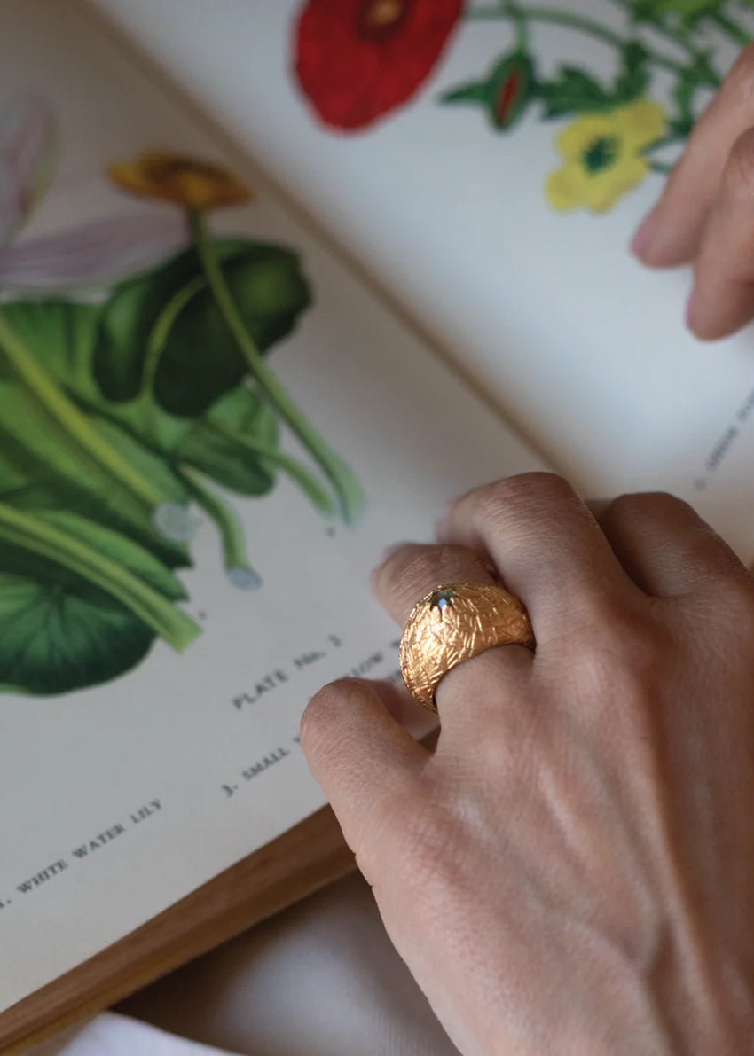 Hand with a gold ring on an open book with botanical illustrations