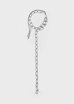 Chain leash on a light gray background