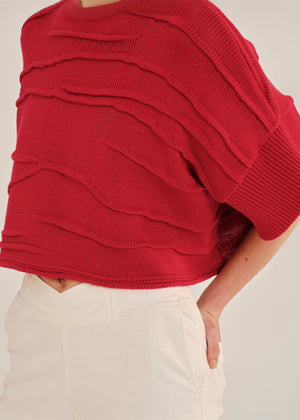Red knitted sweater worn by a person on a plain background